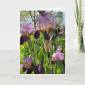 Blank-Iris-Blume Karte (Vorderseite)