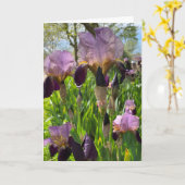 Blank-Iris-Blume Karte (Gelbe Blume)