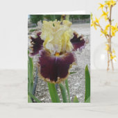 Blank-Iris-Karte -"BATTLE DER BANDS" Karte (Gelbe Blume)