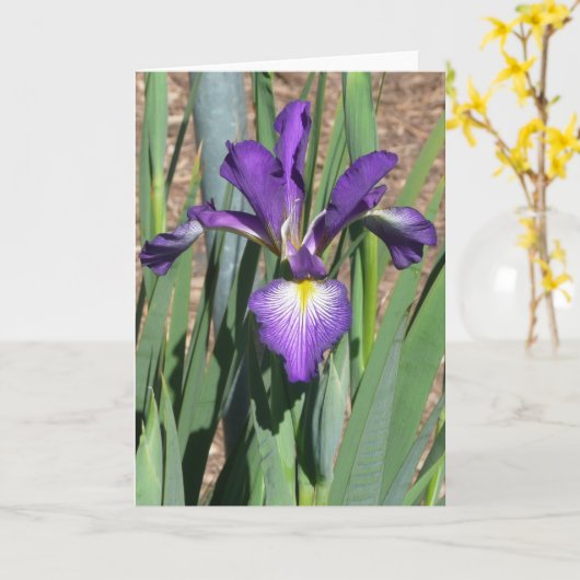 Blank-Iris-Karte -"LINE DANCING" Karte (Gelbe Blume)