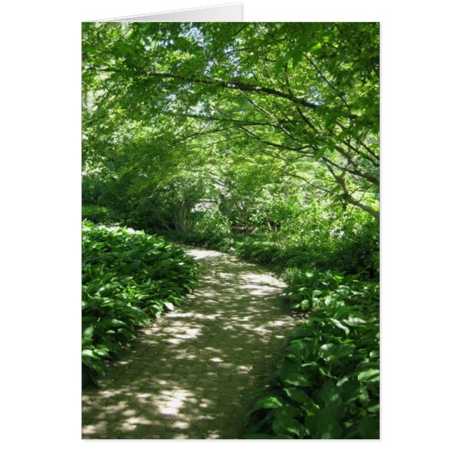 Blank_Leafy Pass (Vorne)