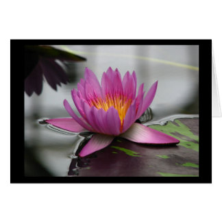 Blank Lotus Card (vertikal)