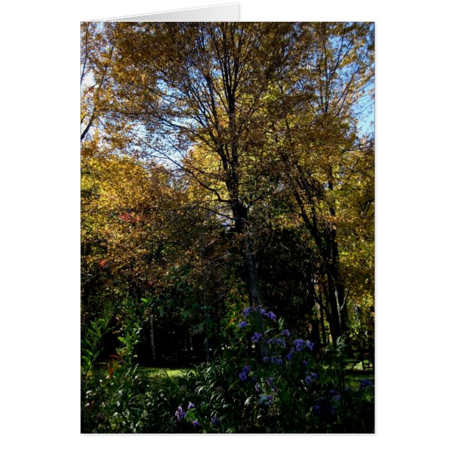 Blank_Mauve Tree (Vorne)