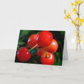Blank Note Card: Cherries Karte (Gelbe Blume)