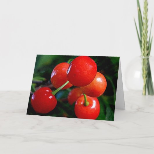 Blank Note Card: Cherries Karte (Vorderseite)