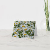 Blank Note Card - Daises in Vermont (Vorderseite)