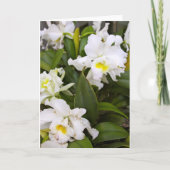 Blank Note Card Dankeskarte (Vorderseite)