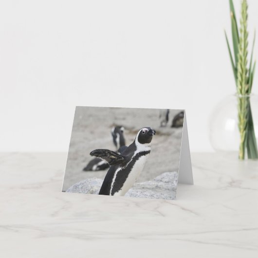 Blank Note Card - Flapping Pinguin (Vorderseite)