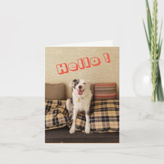 Blank Note Card Hund Sprichwort Hallo Karte (Vorderseite)
