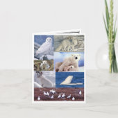 Blank Note Card Karte (Vorderseite)