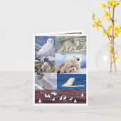 Blank Note Card Karte (Gelbe Blume)