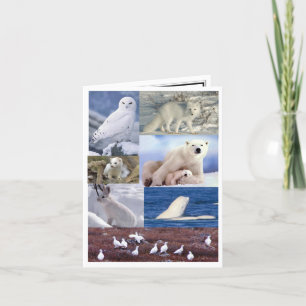 Blank Note Card Karte