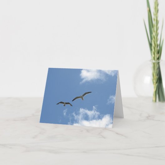 Blank Note Card - La Jolla Seagulls Karte (Vorderseite)