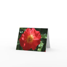 Blank Note Card: Majestic Rose