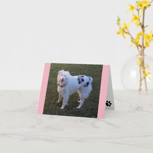Blank Note card mit Australian Shepherd Karte (Gelbe Blume)