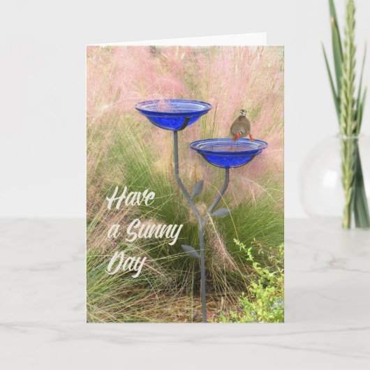 Blank Note Card mit Finish am Bird Bath Karte (Vorderseite)