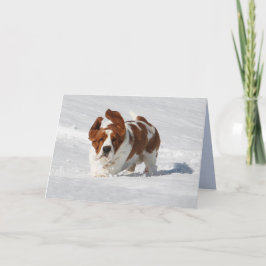 Blank Note Card mit schönem Basset Hound Karte