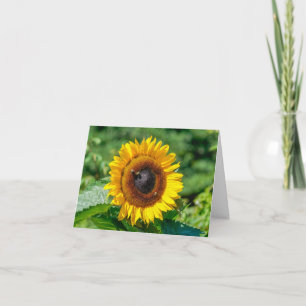Blank Note Card - Vermont Sunflower