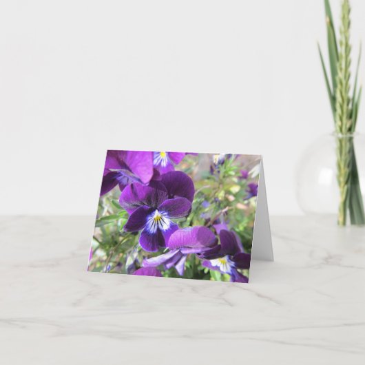 Blank Note Card--Violets Karte (Vorderseite)