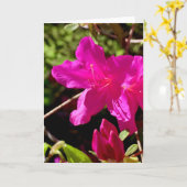 Blank Pink Azaelea Karte (Gelbe Blume)