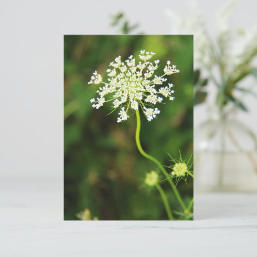 Blank Queen Anne's Lace-Wildblume Mitteilungskarte (Stehend Vorderseite)