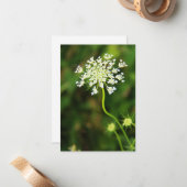 Blank Queen Anne's Lace-Wildblume Mitteilungskarte (Vorderseite/Rückseite Beispiel)