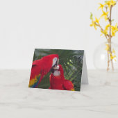 Blank Red Parrot Grußkarten Karte (Gelbe Blume)