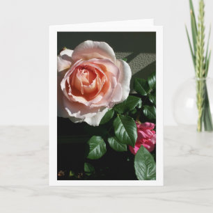 Blank Rose Card #2 Karte