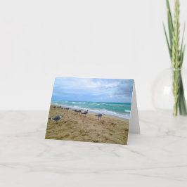 Blank Seagull Beach Card Dankeskarte