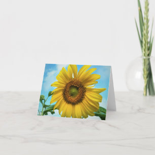 Blank Sonnenblumenkarte Karte