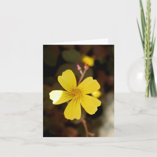 Blank_Tiny Yellow Karte (Vorderseite)