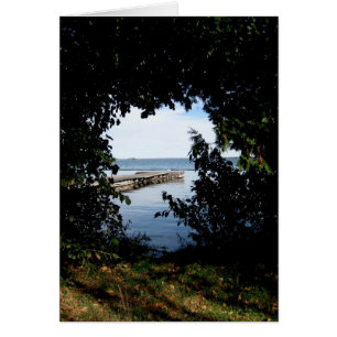 Blank_Tree Window See-Ansicht