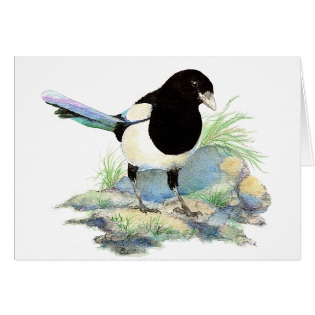 Blank Watercolor Magpie Garden Bird (Vorderseite (Horizontal))