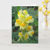 Blank Willkommen bei Spring Card Karte (Gelbe Blume)