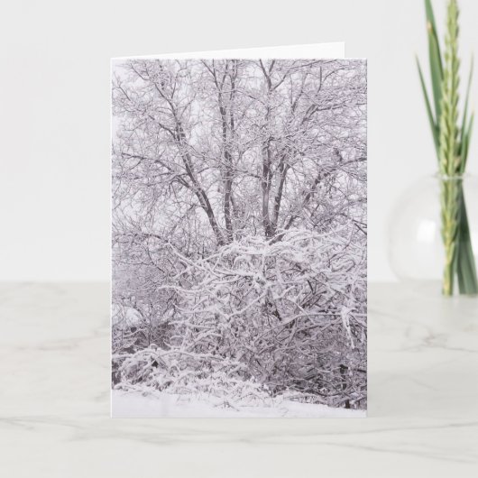 Blank Winter Scene Card Karte (Vorderseite)
