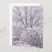 Blank Winter Szene Feiertagskarte (Vorne/Hinten)