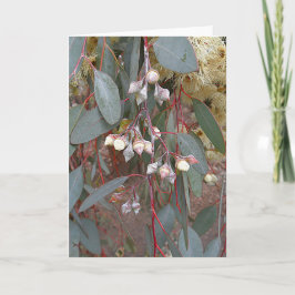 Blanke Grußkarte - Gummi Nuts Karte