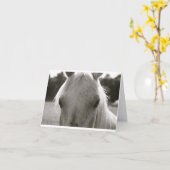 Blankenhinweis für das weiße Pferd Karte (Gelbe Blume)