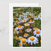 Blankenkarte für Papier Feiertagskarte (Vorne/Hinten)