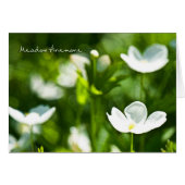 Blankenkarte Meadow Anemone (Vorderseite (Horizontal))