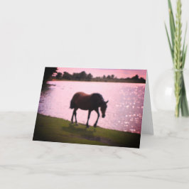 Blankenkarte Pferd und Sonnensee Karte