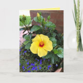 Blankes Foto Karte (Vorderseite)