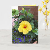 Blankes Foto Karte (Gelbe Blume)