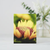Blanket Blume Bud Postkarte (Stehend Vorderseite)
