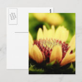 Blanket Blume Bud Postkarte (Vorne/Hinten)