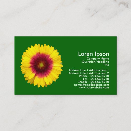 Blanket-Blume, grün Visitenkarte (Vorderseite)