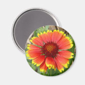 Blanket Blume Magnet (Vorderseite/Rückseite)