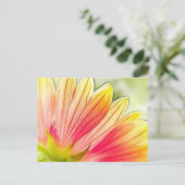 Blanket Blume Petals Nah Postkarte (Stehend Vorderseite)