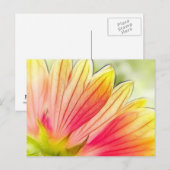 Blanket Blume Petals Nah Postkarte (Vorne/Hinten)