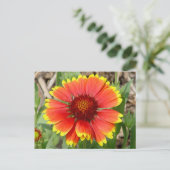 Blanket-Blume-Postkarte Postkarte (Stehend Vorderseite)